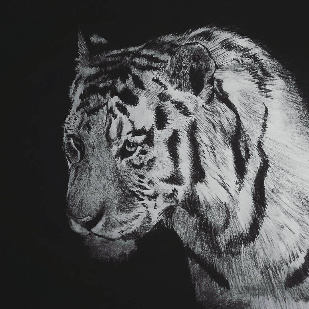 Illustration · 100